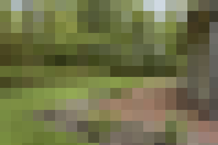 Image 20