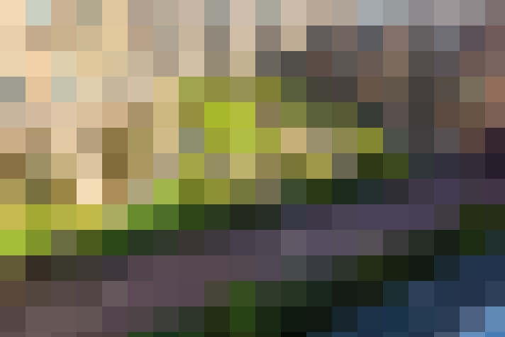 Image 16