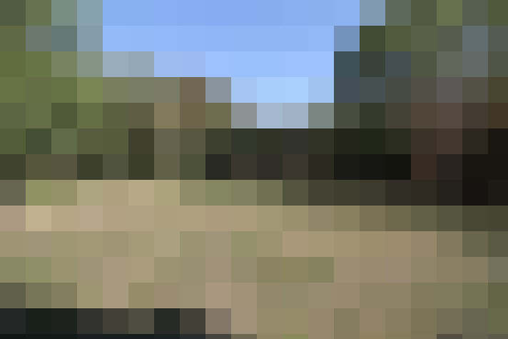 Image 36