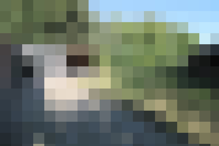 Image 28