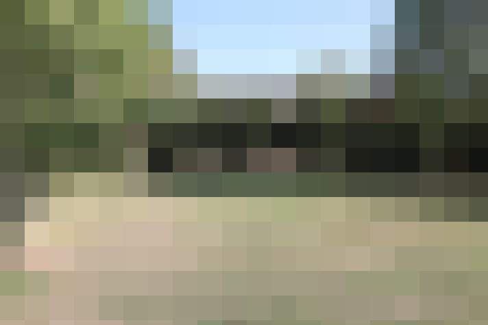 Image 37