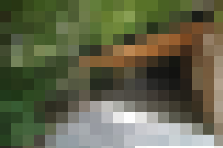Image 33