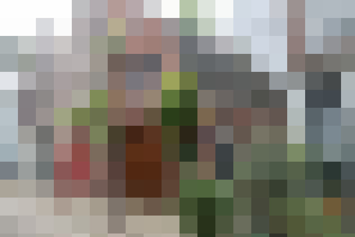 Image 29
