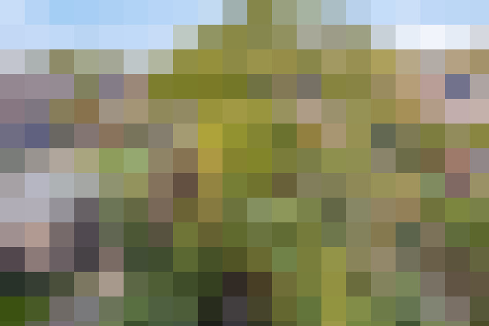 Image 29