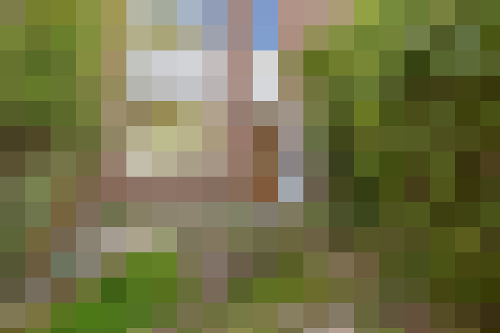 Image 26