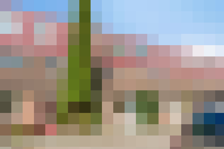 Image 31