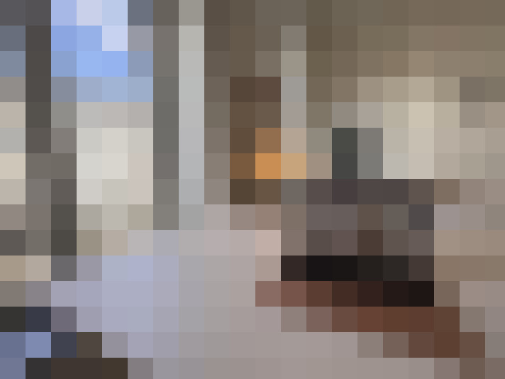 Image 18