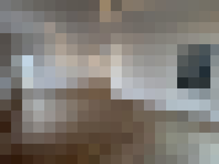 Image 15
