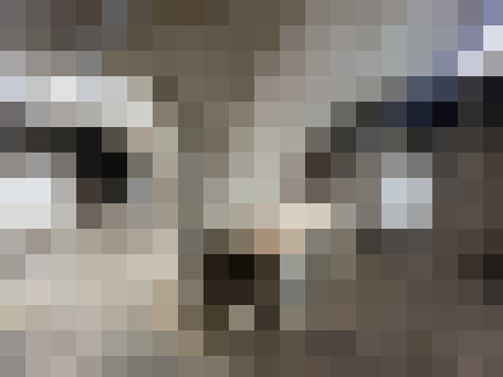 Image 17