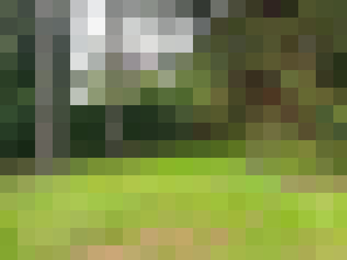 Image 27