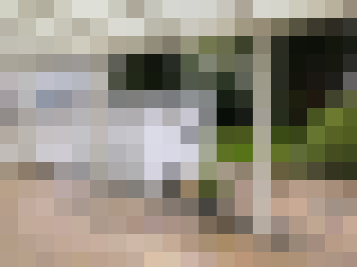 Image 25