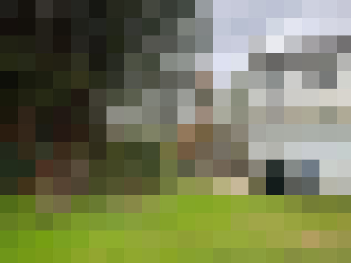 Image 28