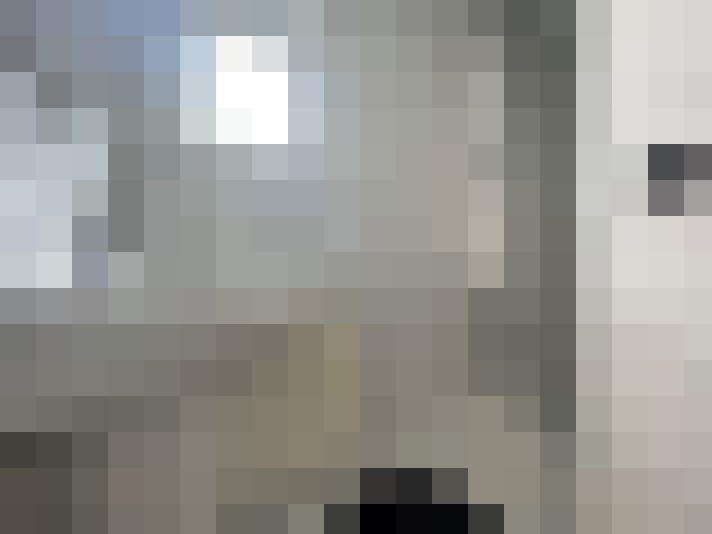 Image 22