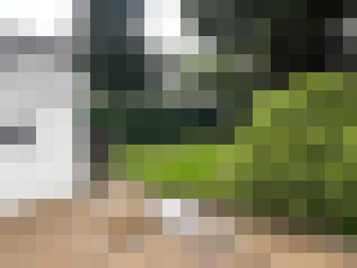 Image 26