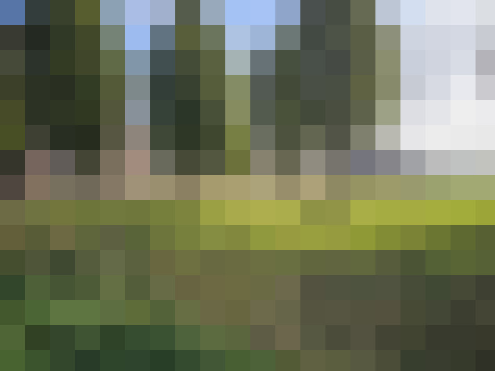 Image 31