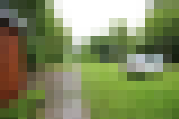 Image 20
