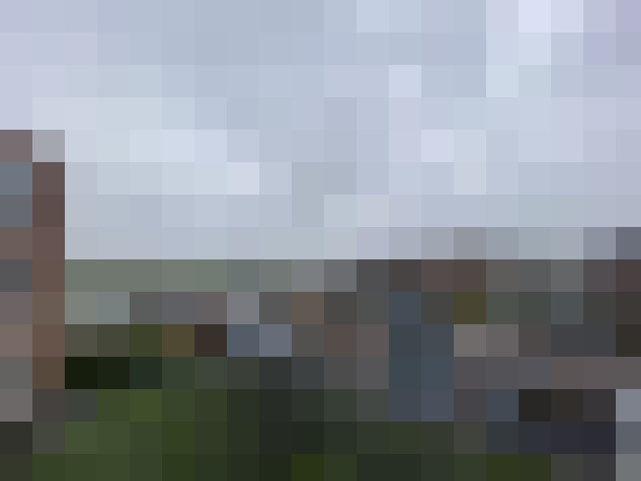 Image 13