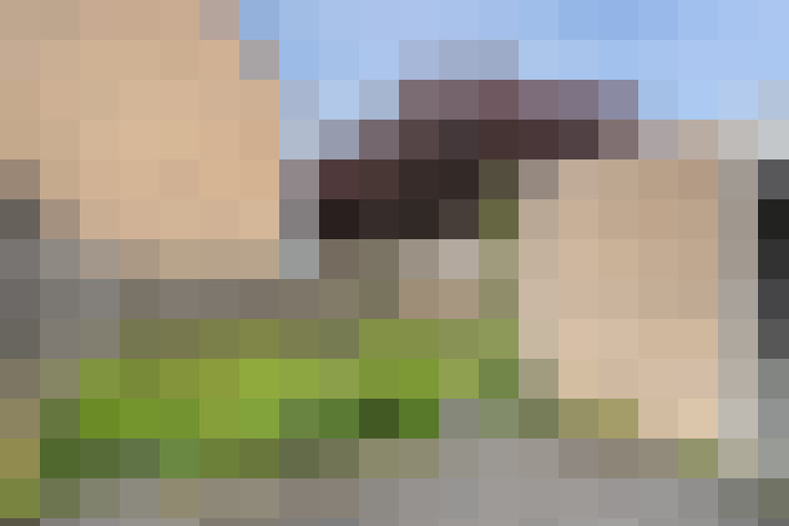 Image 16