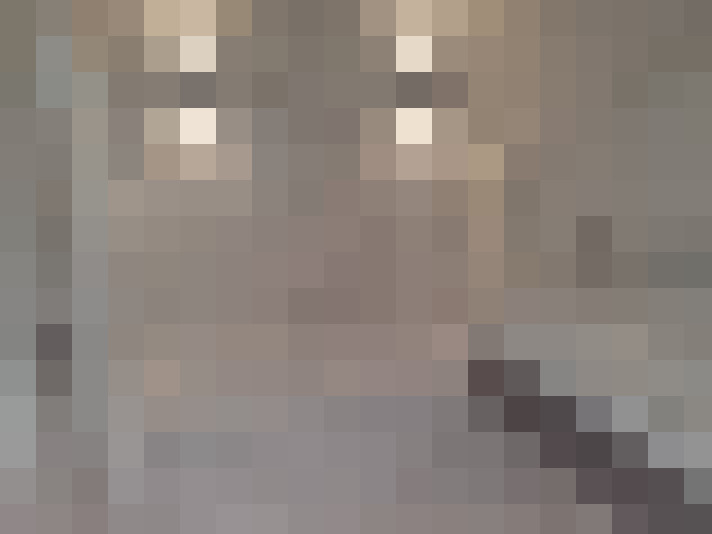 Image 17