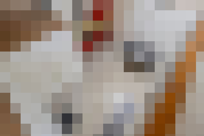 Image 17