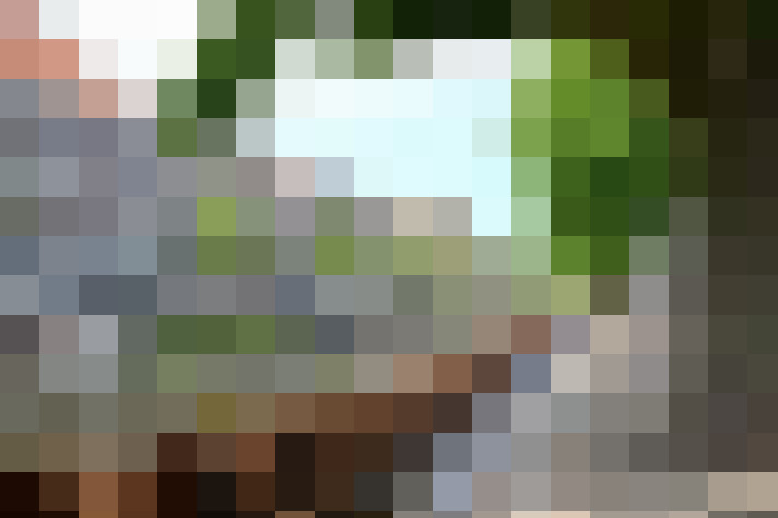 Image 45