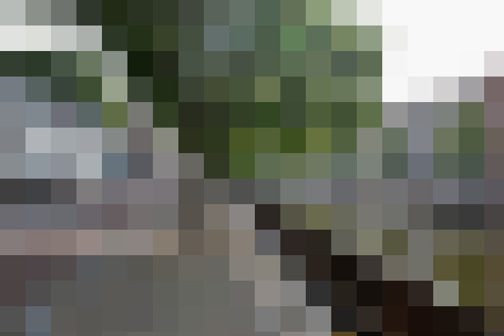 Image 46