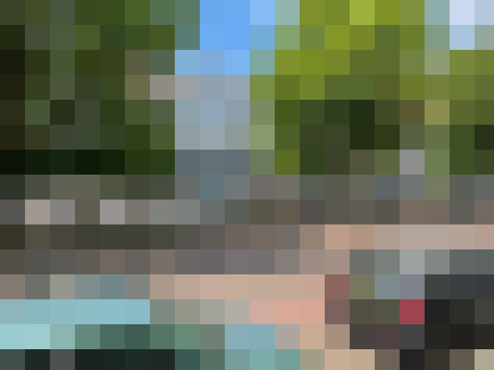 Image 44