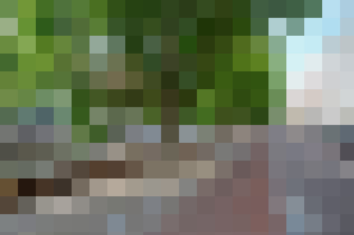 Image 42