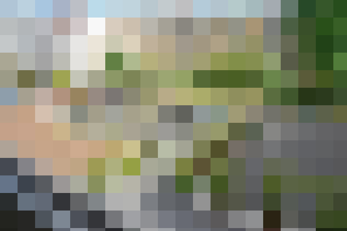 Image 35