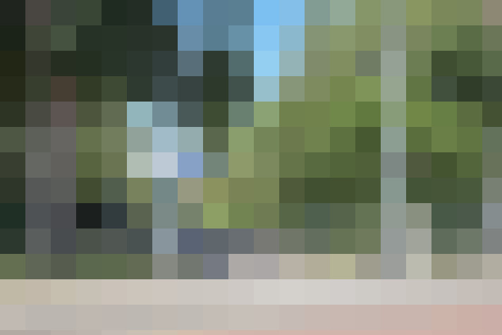 Image 31