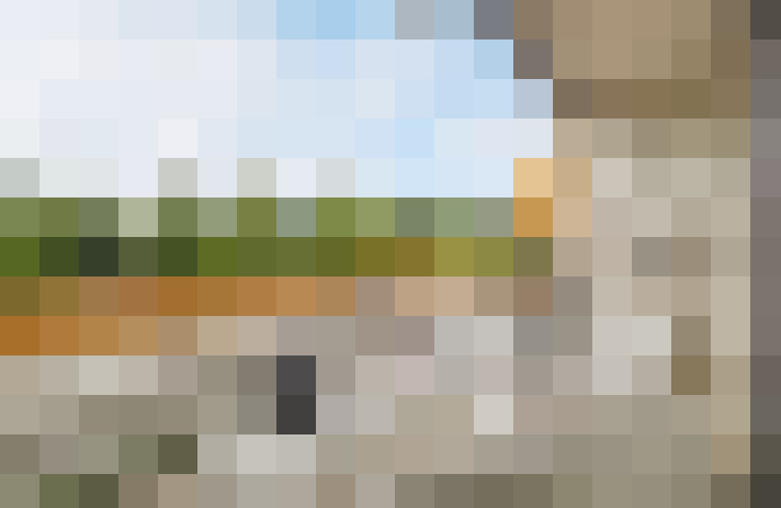 Image 23