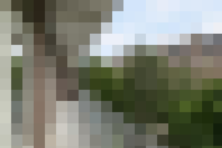 Image 14