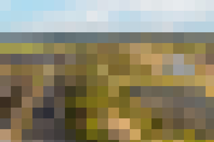 Image 42