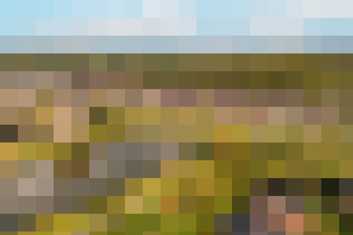 Image 43