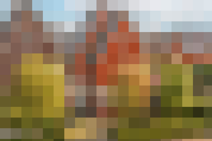 Image 44