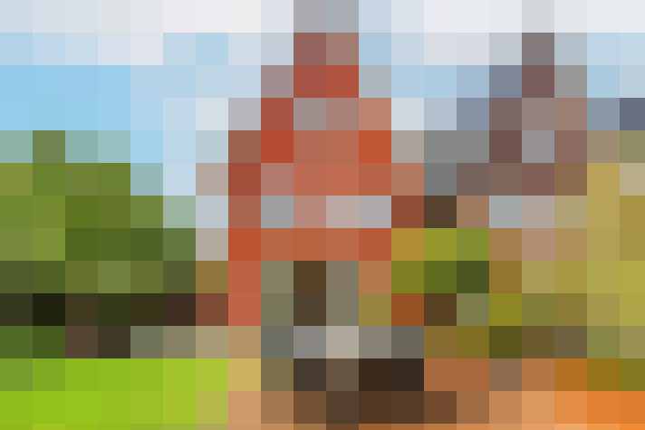 Image 22