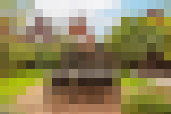 Image 21