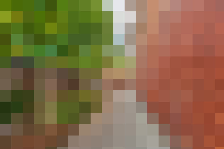 Image 17