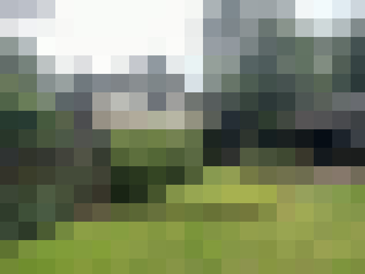 Image 26
