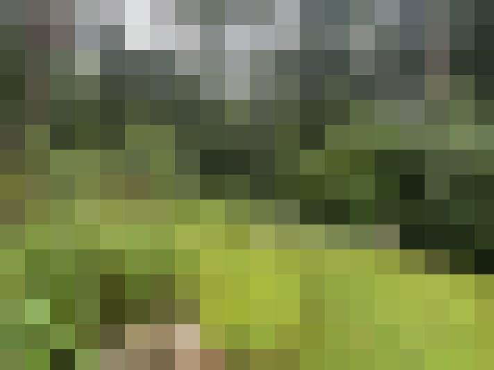 Image 28