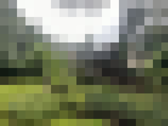 Image 23