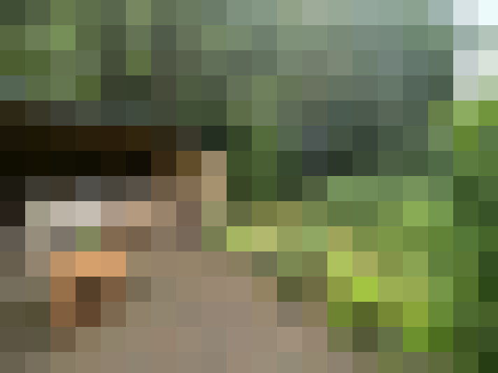Image 24