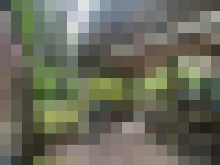 Image 29