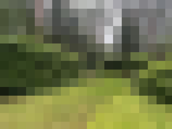Image 25