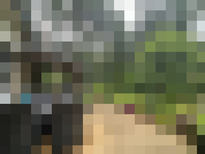 Image 27