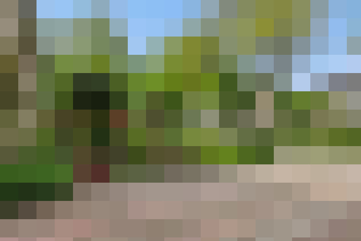 Image 28