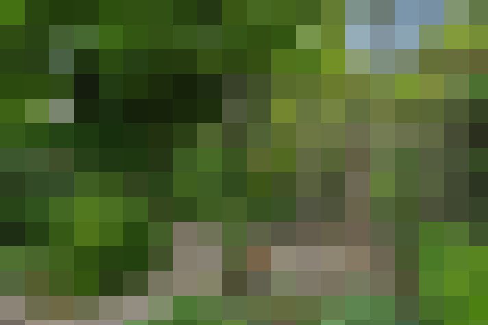 Image 23