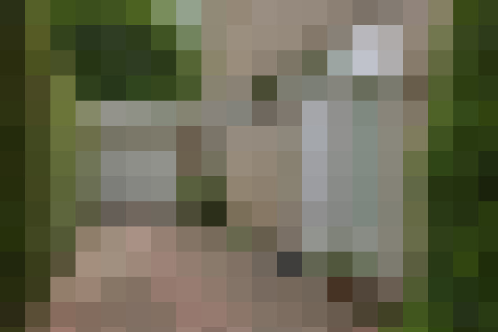 Image 27