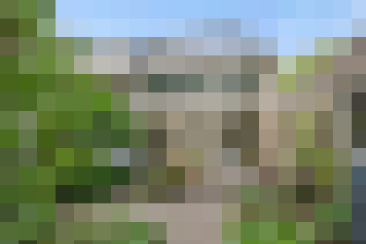 Image 24