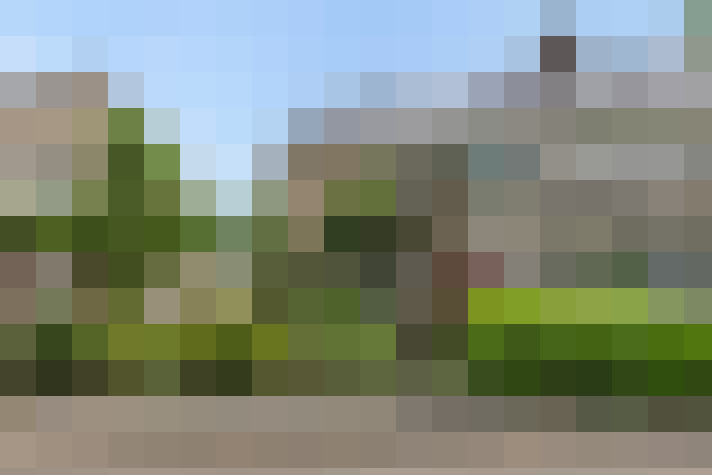Image 29